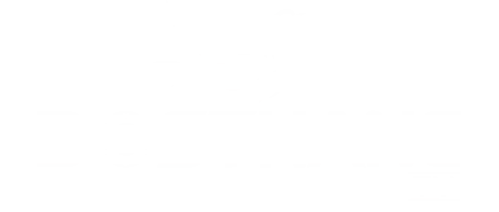 dosthane 2 kopya